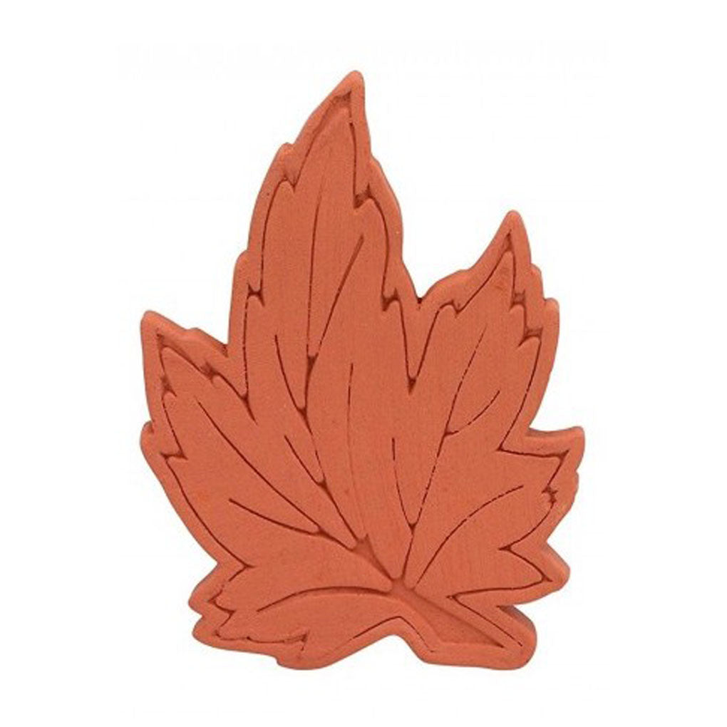 Sugar Bears Maple Leaf