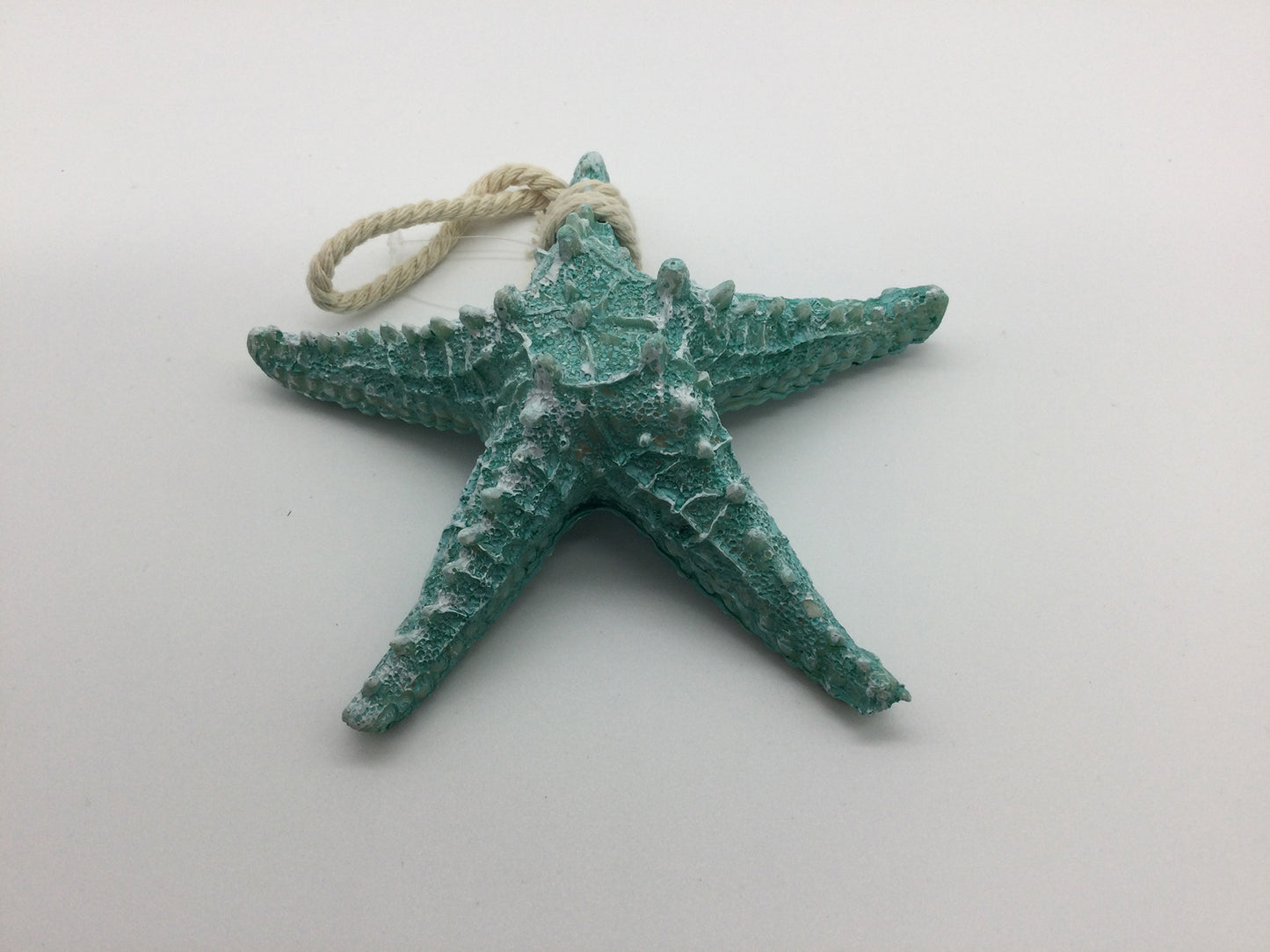 Starfish Green / Blue