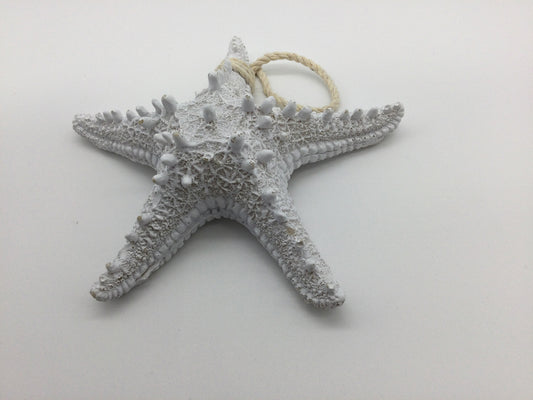 Starfish / White