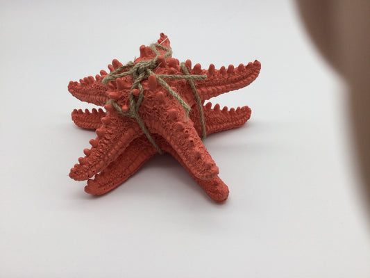 2 Pack Starfish (Coral Color)