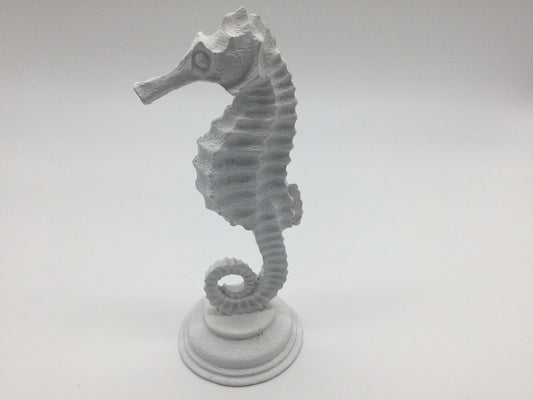 Seahorse White